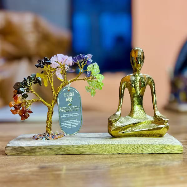 Jardin yoga geste du mudra avec arbre sept chakras