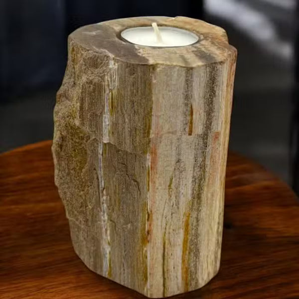 Bougeoir en bois pétrifié, bloc haut à une bougie