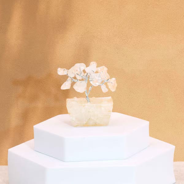 Mini arbre de cristal de roche sur base orgonite, 15 pierres