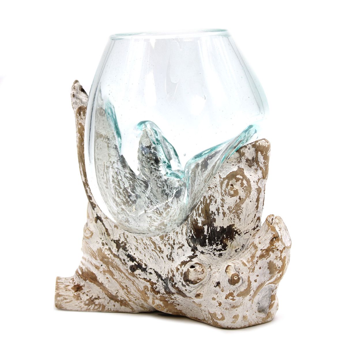 Coupe en verre soufflé enserrée par les bras d'une racine de bois blanchie à la chaux