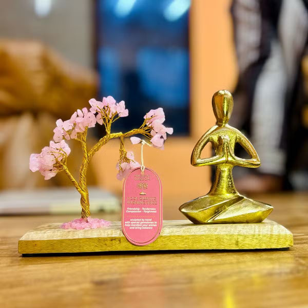 Jardin yoga posture sukhasana avec arbre de quartz rose
