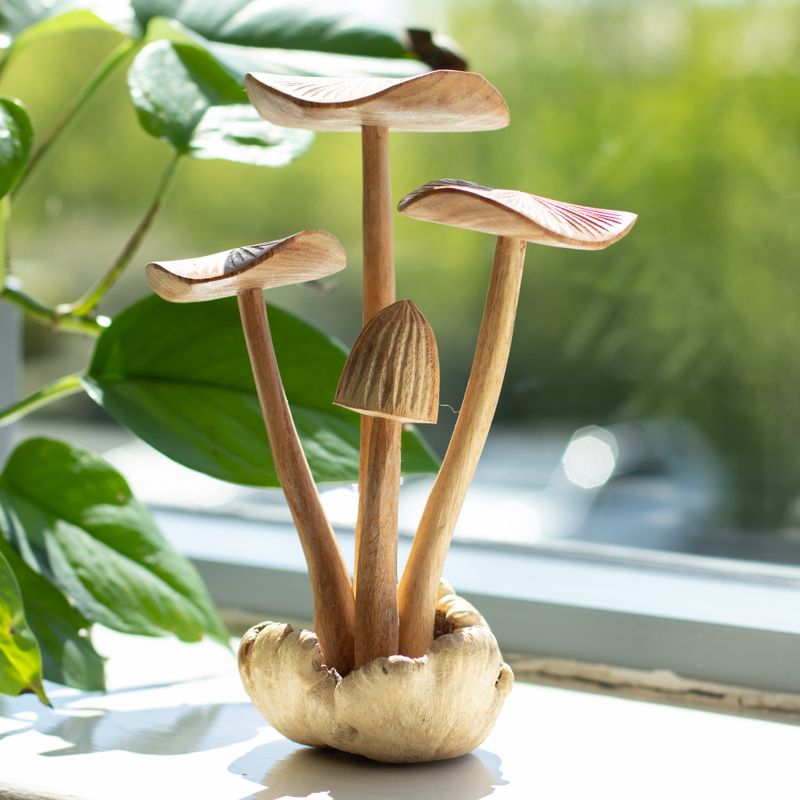 Détail des quatre chapeaux de champignons à hauteurs différentes