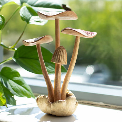 Détail des quatre chapeaux de champignons à hauteurs différentes