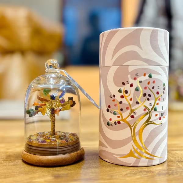 Dôme de verre avec petit arbre sept chakras sur socle en bois