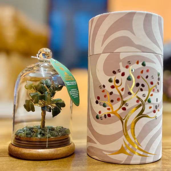 Dôme de verre avec petit arbre d'aventurine verte sur socle en bois