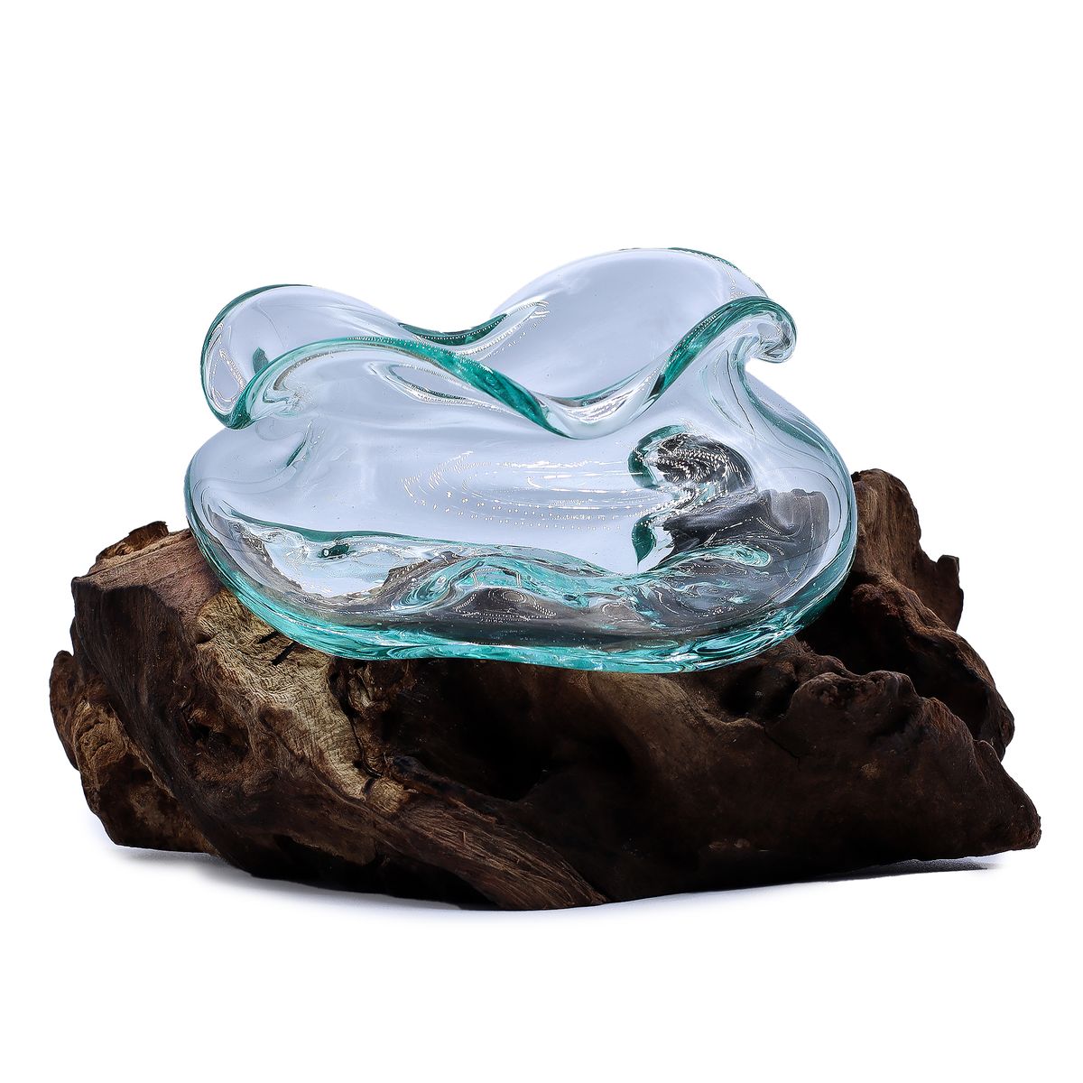 Coupe basse en verre soufflé aux bords ondulés libres, coulée sur une racine de bois foncée