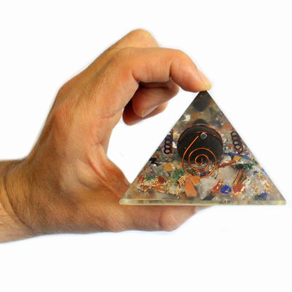 Détail de la tortue vue par le haut de la pyramide
