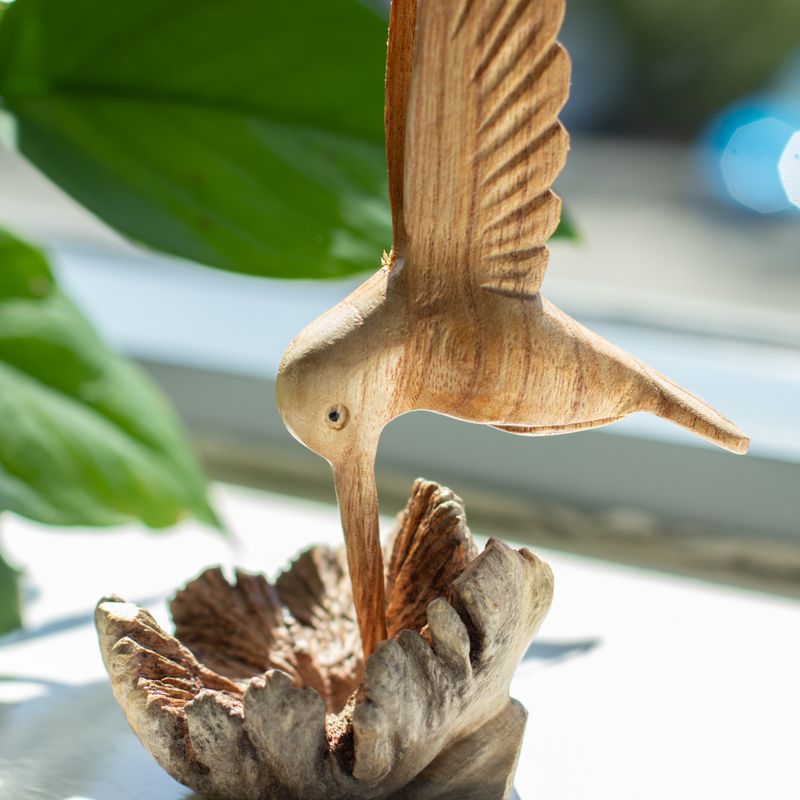 Colibri en bois parasite vu de profil, ailes écartées