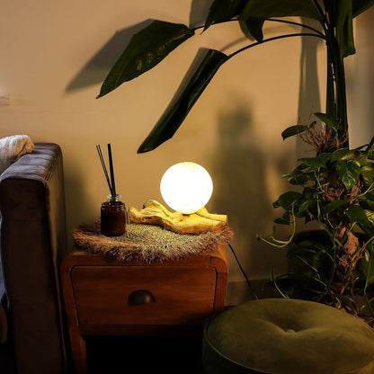 Lampe en Bois Flotté – Abat-jour Coton Crème Enveloppant, 31 cm