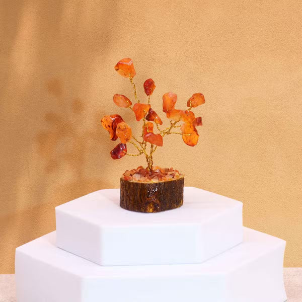 Mini arbre de cornaline sur socle en bois, 15 pierres