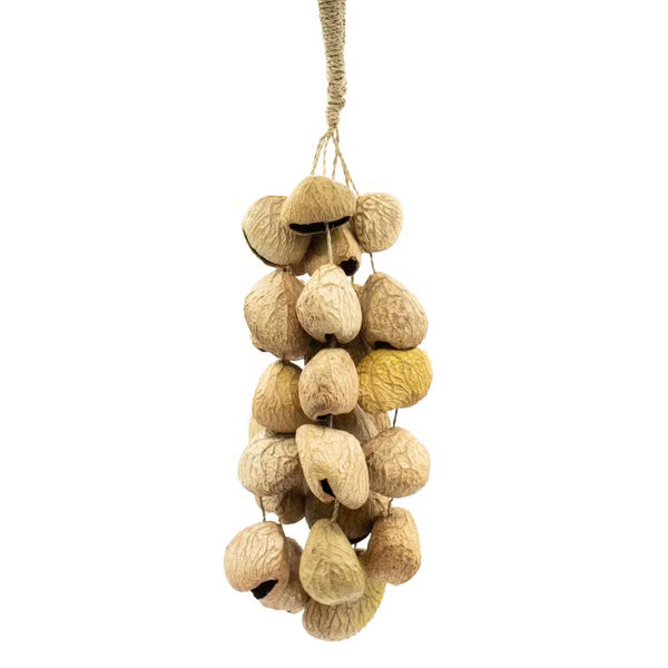 Hochet de 30 coquilles de graines de pangi