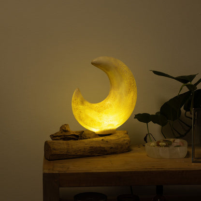 Lampe en Bois Flotté Demi-Lune – Abat-jour Verre Craquelé Gris