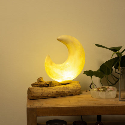 Lampe en Bois Flotté Demi-Lune – Abat-jour Verre Craquelé Gris