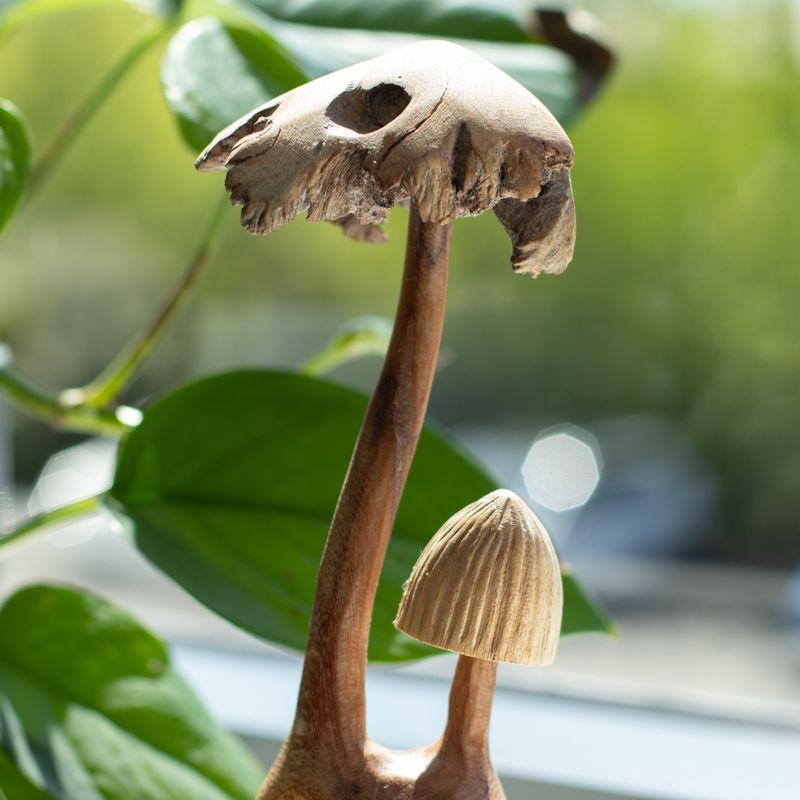 Duo de champignons en bois vu de profil, hauteur 22 cm