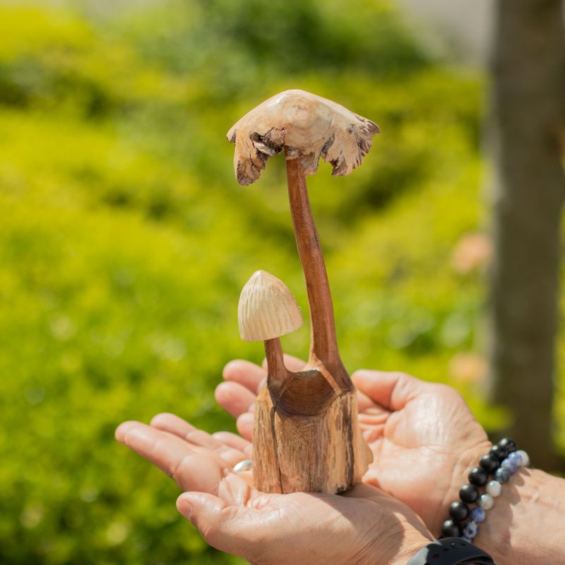 Détail des lamelles sculptées sous les chapeaux des champignons