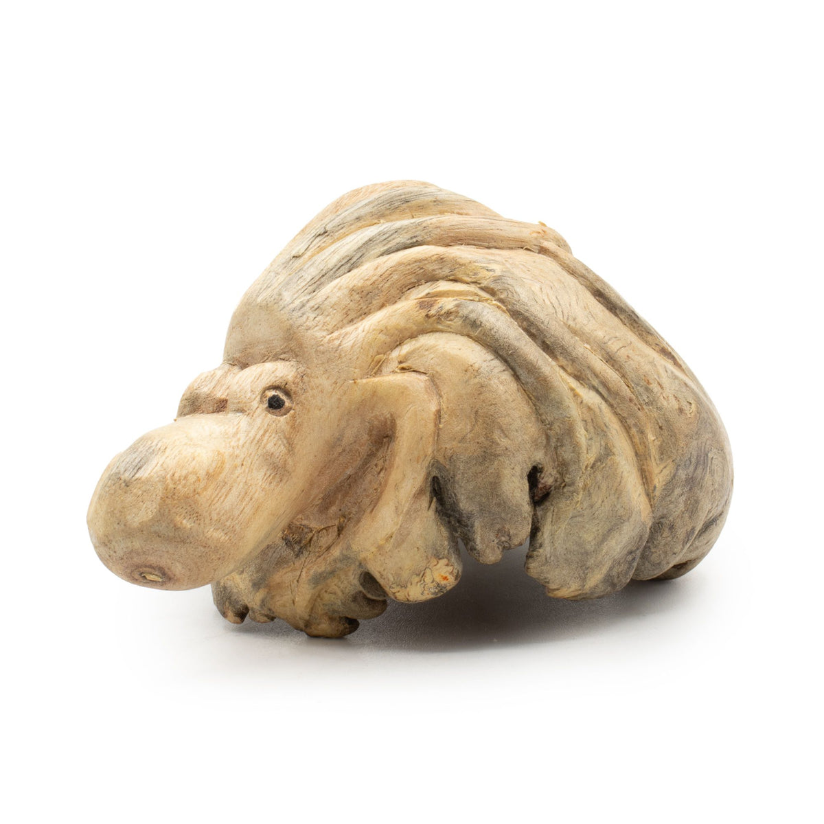 Sculpture de pieuvre en bois parasite balinais, tentacules enroulés