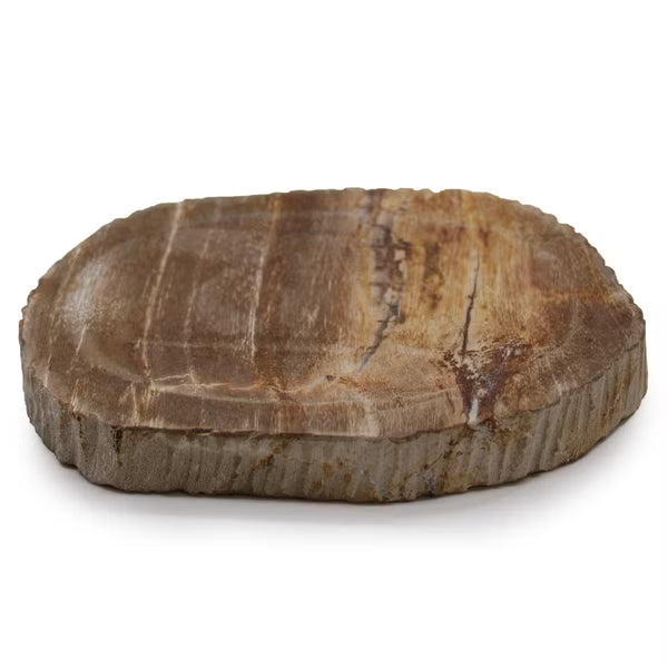 Porte-savon en bois pétrifié brun