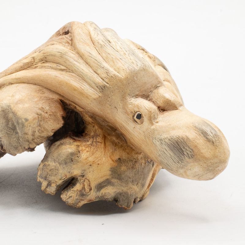 Pieuvre en bois parasite vue de dessus