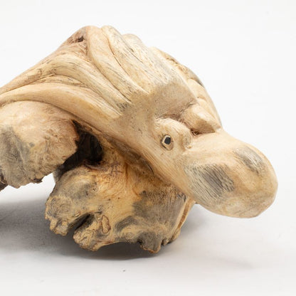 Pieuvre en bois parasite vue de dessus