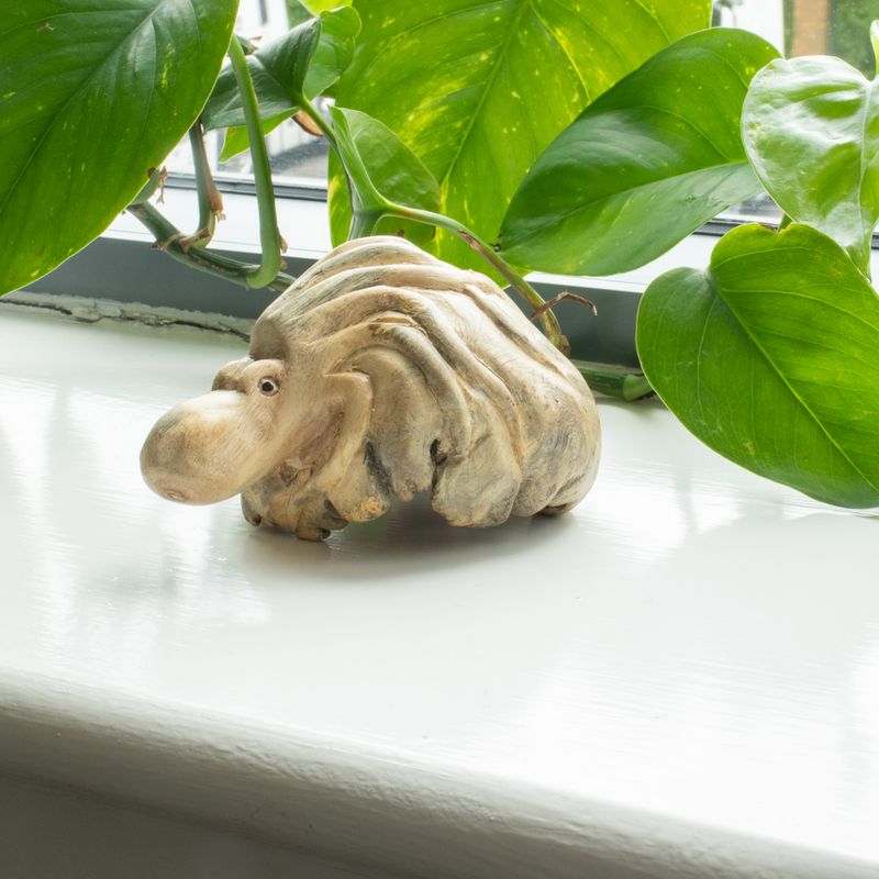 Détail des ventouses sculptées sur les tentacules de la pieuvre